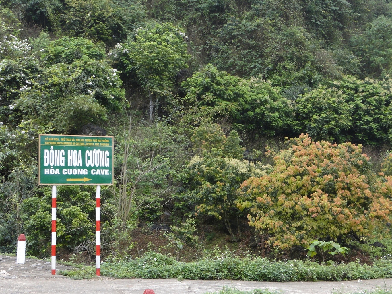 Hoa Cuong cave