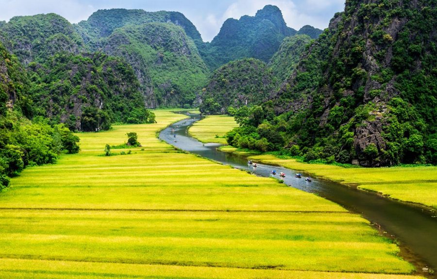 Tour Hoa Lu and Tam Coc